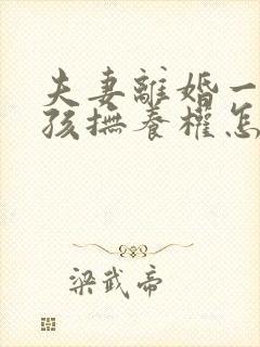 夫妻离婚一个小孩抚养权怎么判