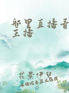 哪里直播看美女主播