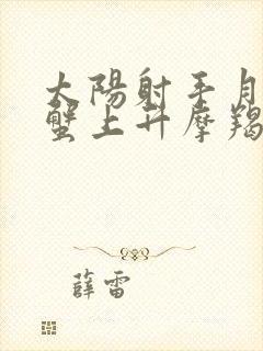 太阳射手月亮巨蟹上升摩羯