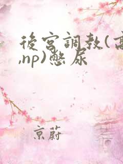 后宫调教(高h,np)憋尿