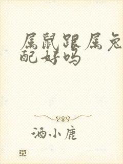 属鼠跟属兔的婚配好吗