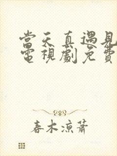 当天真遇见爱情电视剧免费观看全集