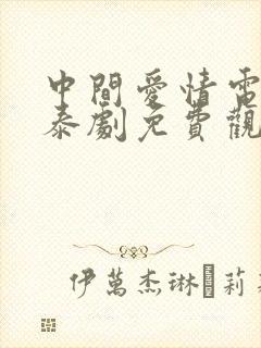 中间爱情电视剧泰剧免费观看全集