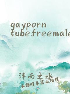 gayporntubefreemale