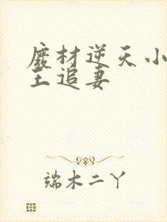 废材逆天小姐邪王追妻