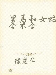 男马和女蛇属相合不合