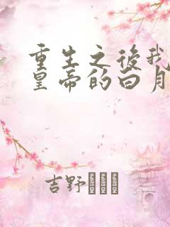 重生之后我成了皇帝的白月光