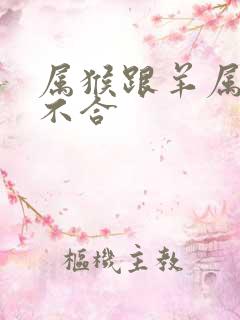 属猴跟羊属相合不合