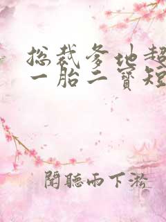 总裁爹地超凶猛一胎二宝短剧全集