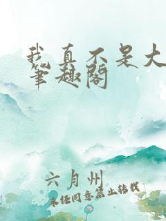 我真不是大明星笔趣阁