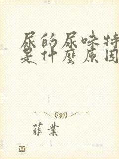 尿的尿味特别大是什么原因