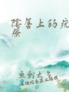 阴唇上的疣湿治疗