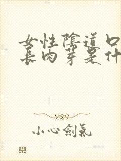 女性阴道口一圈长肉芽是什么原因