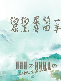 狗狗尿频一会一尿怎么回事