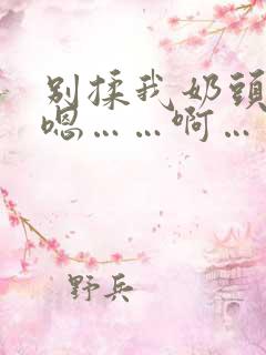 别揉我奶头……嗯……啊……一区二区三区