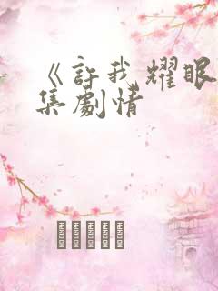 《许我耀眼》分集剧情