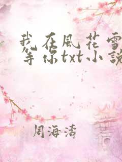 我在风花雪月里等你txt小说