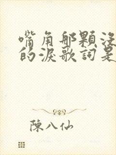 嘴角那颗没落下的泪歌词是什么意思