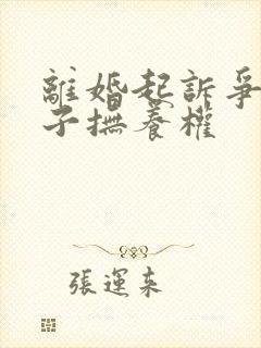 离婚起诉争夺孩子抚养权