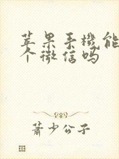 苹果手机能弄两个微信吗