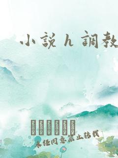 小说 h 调教