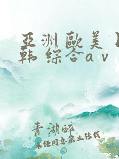 亚洲 欧美 日韩 综合aⅴ