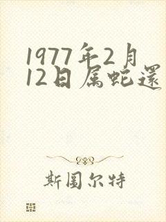 1977年2月12日属蛇还是属龙