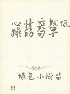 心情突然低落烦躁的句子