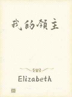 我的领主