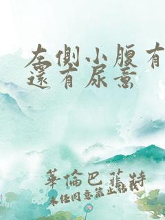 左侧小腹有点胀还有尿意