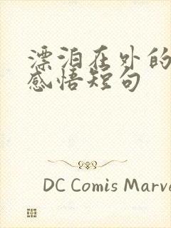 漂泊在外的人生感悟短句