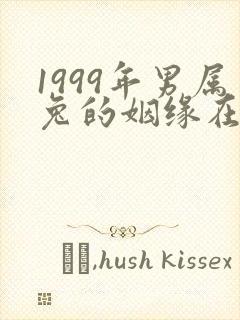 1999年男属兔的姻缘在哪年