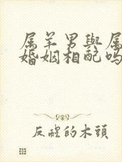 属羊男与属牛女婚姻相配吗