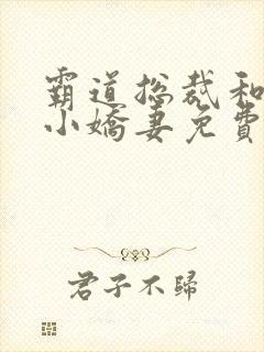 霸道总裁和他的小娇妻免费阅读