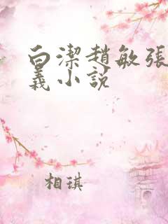 白洁赵敏张倩高义小说