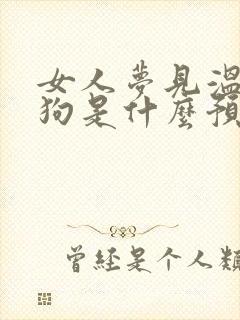 女人梦见温顺的狗是什么预兆