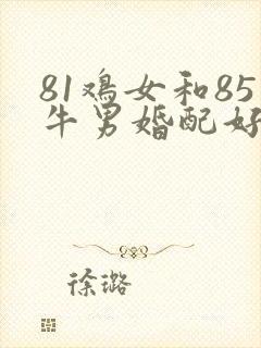 81鸡女和85牛男婚配好不好
