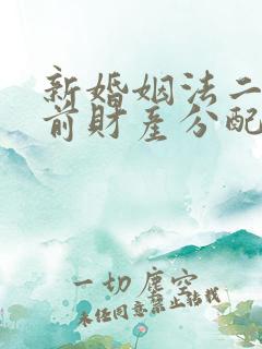 新婚姻法二婚婚前财产分配