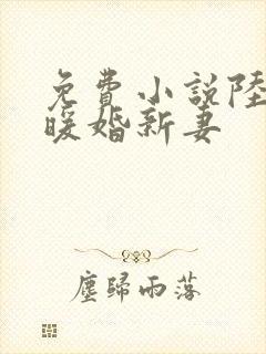 免费小说陆少的暖婚新妻