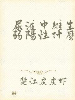 尿液中维生素c弱阳性什么意思