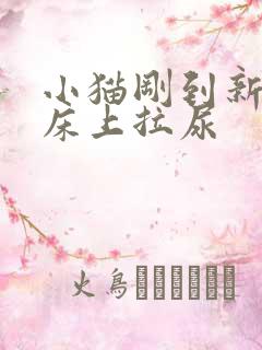 小猫刚到新家在床上拉尿