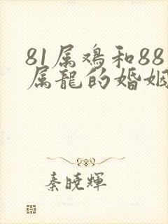 81属鸡和88属龙的婚姻怎么样