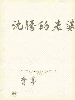 沈腾的老婆是谁