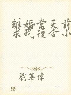 离婚当天前夫跪求我复合小说阅读