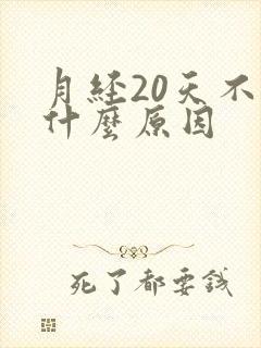 月经20天不停什么原因