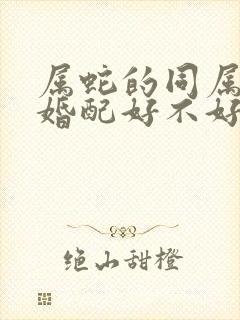 属蛇的同属蛇的婚配好不好