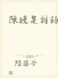 陈晓是谁的老公