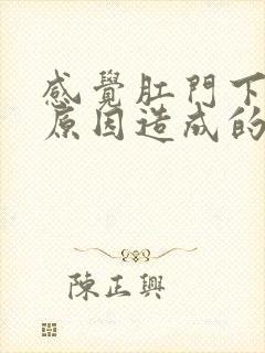 感觉肛门下坠的原因造成的