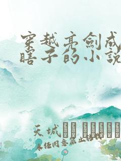 穿越亮剑成为程瞎子的小说