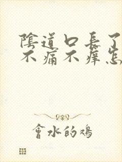 阴道口长了肉芽不痛不痒怎么回事